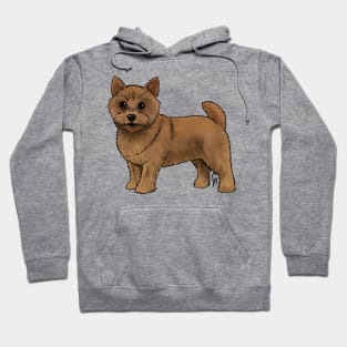 Dog - Norwich Terrier - Red Hoodie